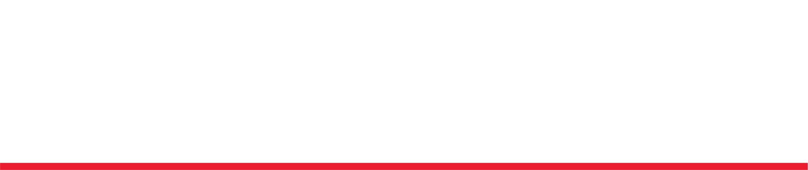 Nominit vit logo